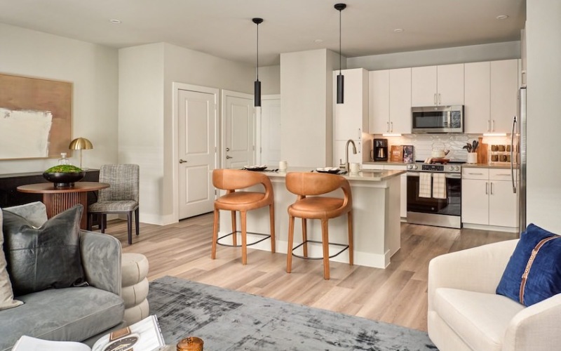 Beautiful kitchens with designer finishes
